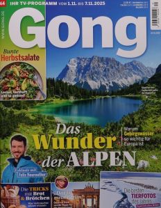 GONG