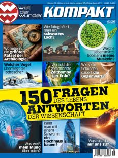 welt der wunder KOMPAKT