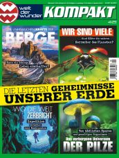 welt der wunder KOMPAKT