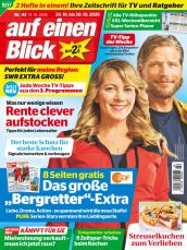 auf einen Blick