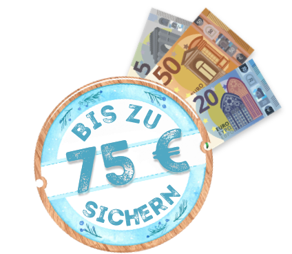 Illustration von drei Euro-Banknoten (50, 10 und 5 Euro) hinter einem runden Schild mit der Aufschrift 'Bis zu 65 € sichern!', umgeben von Blumen.