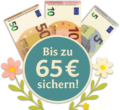 Illustration von drei Euro-Banknoten (50, 10 und 5 Euro) hinter einem runden Schild mit der Aufschrift 'Bis zu 65 € sichern!', umgeben von Blumen.